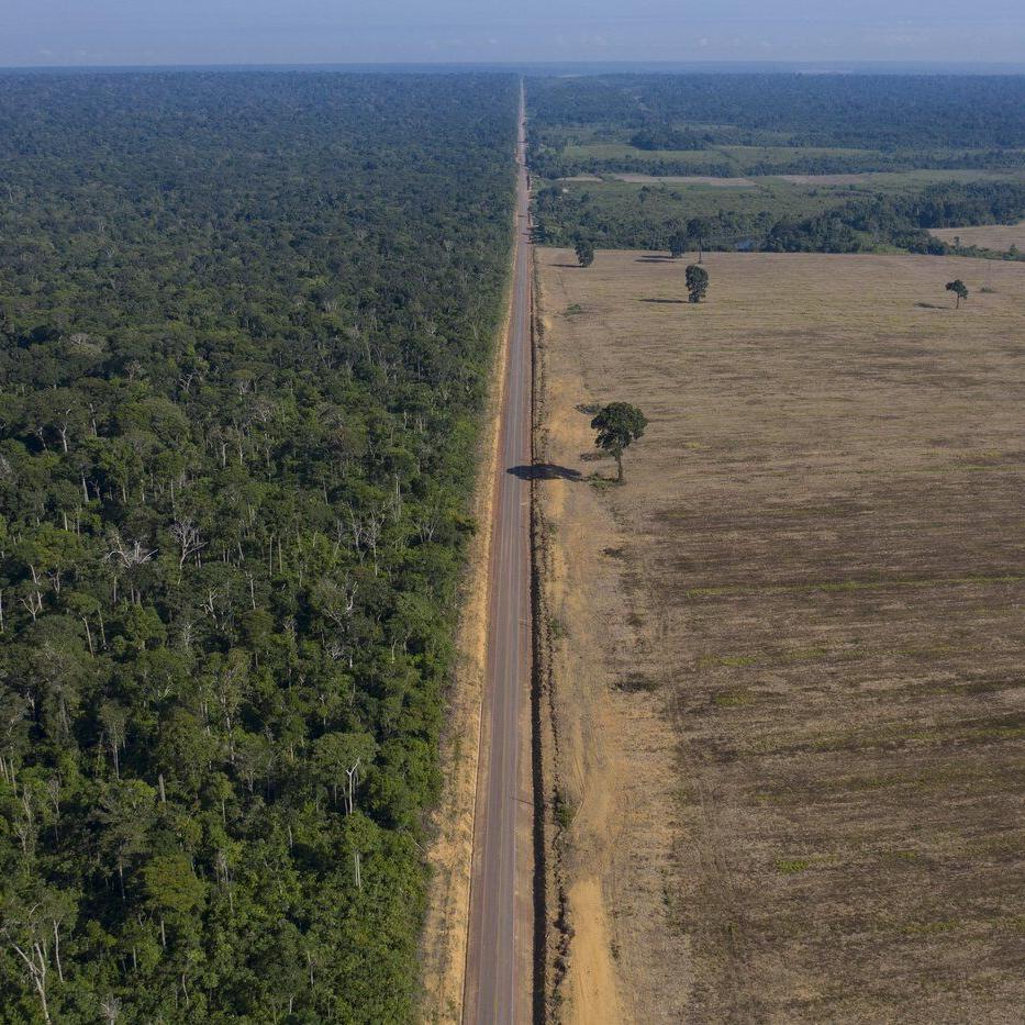 Environmental groups condemn new laws threatening soybean restrictions in Brazil's Amazon